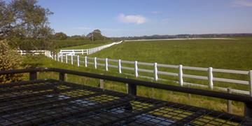 长青塑胶（深圳）有限公司